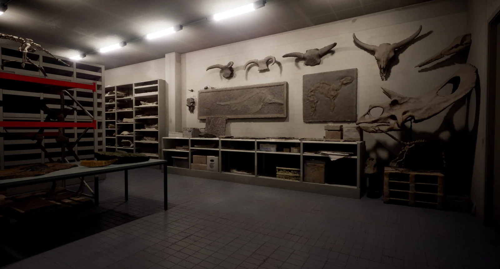 A room in the archive of LWL Naturkundemuseum showcasing shelves full of fossilized animal bones.
